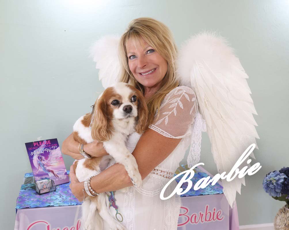 https://angelhairbarbie.com/wp-content/uploads/2023/09/barbie-homepage.jpg